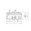 Automotive NPT Fittings