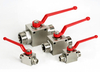 High-pressure 316 stainless steel hydraulic ball valve with DIN 2353 metric tube compression end connections, showing a block-style body for leak-free chemical and marine applications.